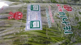 청풍참숯마을
