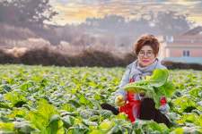 송가네돌산갓김치