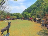 한스캠핑장