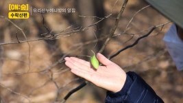 숲노리누리협동조합