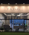 애견미용 Salon 티엔독