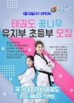 국가대표 태비태권도