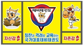 국가대표 태비태권도