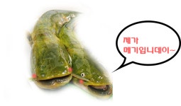 통큰메기생선국수