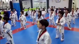 용인대국가대표태권도