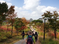 숲노리누리협동조합