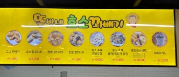 뜰방네효소꽈배기