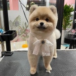 폼나개