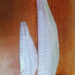 23호 털보네횟집