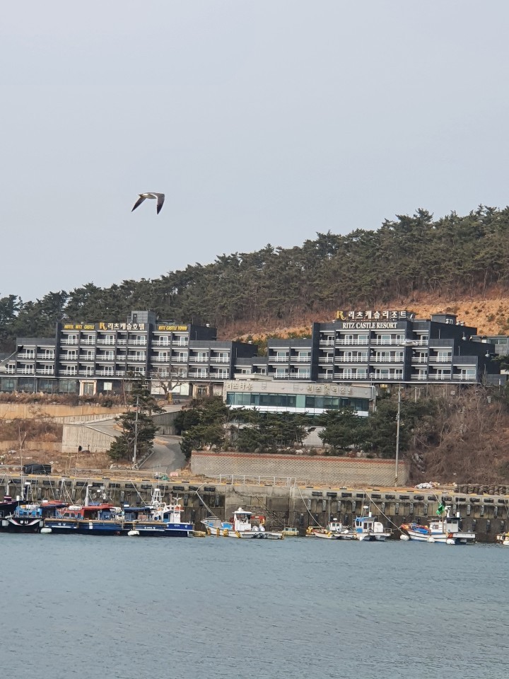 리츠캐슬리조트