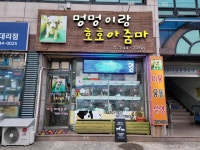 멍멍이랑호호아줌마