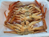 기장대게할인마트 광안점