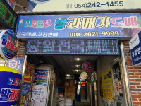 청사초롱과메기