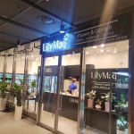 릴리맥 디타워돈의문점