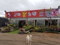 금파꽃농원