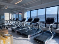 짐 엘리트 황금점