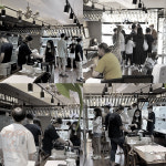 해피애견타운 강아지고양이 서울 충무로점