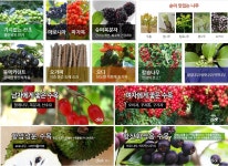 충북농원 영농조합법인