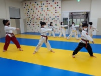 Since1963전남태권도장정의야