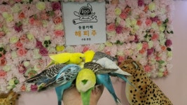 해피주 수원점