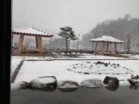 소소향