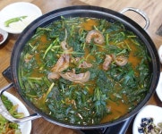완도약산흑염소