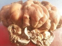 소문난순대국왕족발