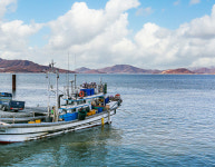 어시장바로앞펜션