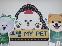 마이펫