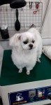 견생스타일
