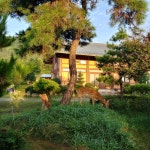 사슴이랑배랑농원 한옥펜션