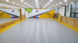 오정석사태권도