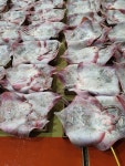 중앙수산