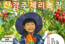 다다팜