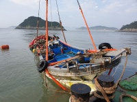 해강수중