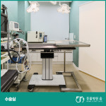 동물병원 움