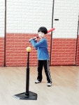 국가대표용문태권도장