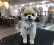 캐릭터그루밍
