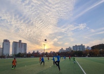 파주FC조영증