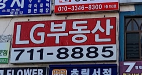 LG공인중개사사무소