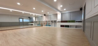 더 리셋 바디