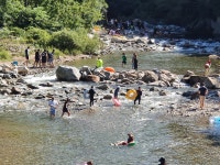 무주 해바라기 펜션 호스텔