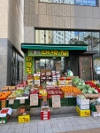 도매상대박집