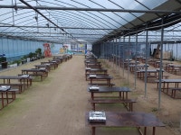 더드림딸기체험농장