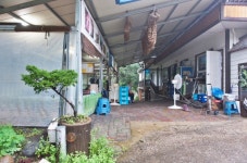 바위집염소 소백산