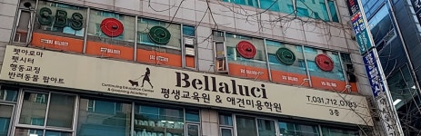 벨라루시펫살롱