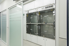 우리들동물병원