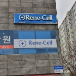 르네셀 상동점