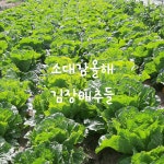 소대감참한우숯불구이