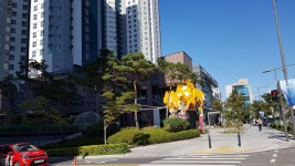 와우뷰티&브로우